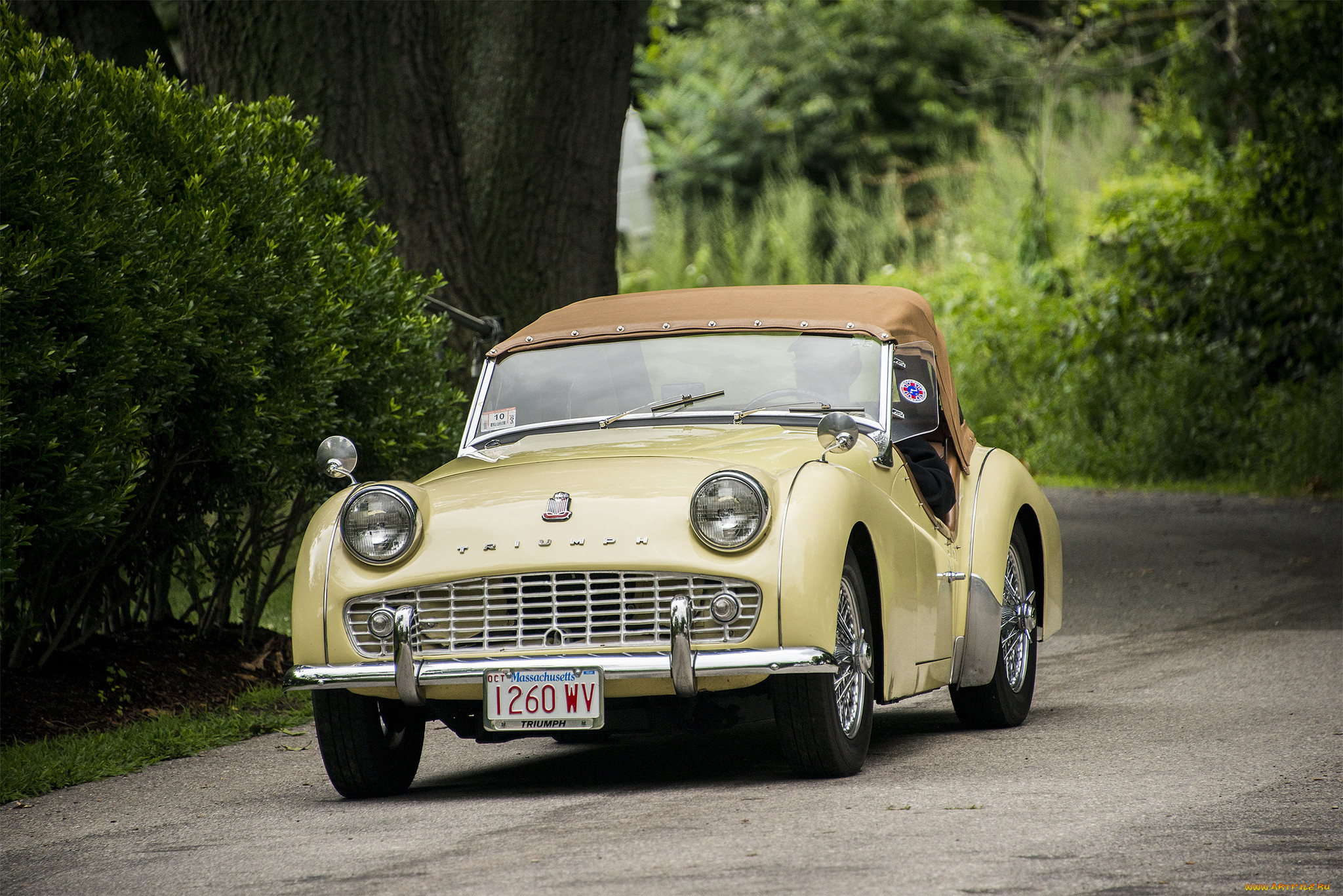 triumph tr3, , triumph, , , 